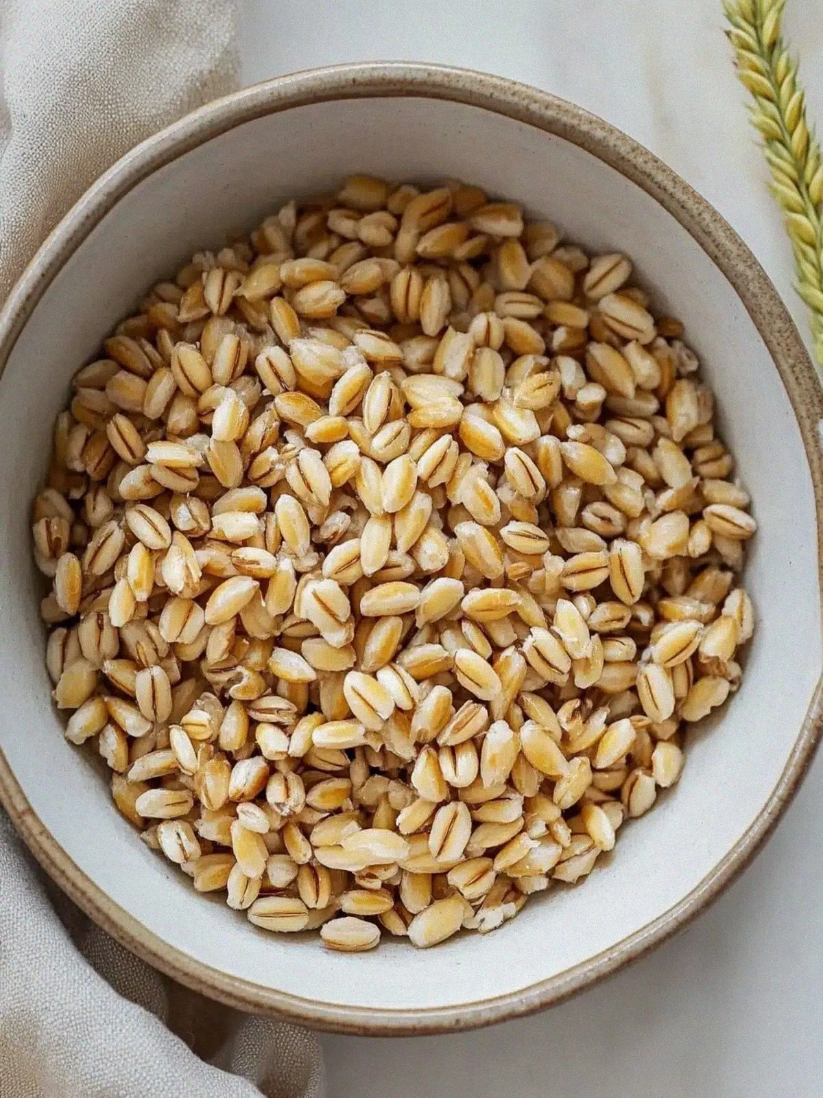 Toasty Barley Nutty Side: Elevate Your Dinner Game Tonight