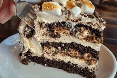 Oreo Brownie & S’mores Ice Cream Cake
